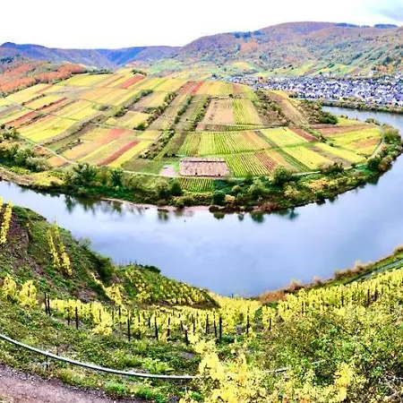 Haus Am Rhein Mit Self Check-in Und P *