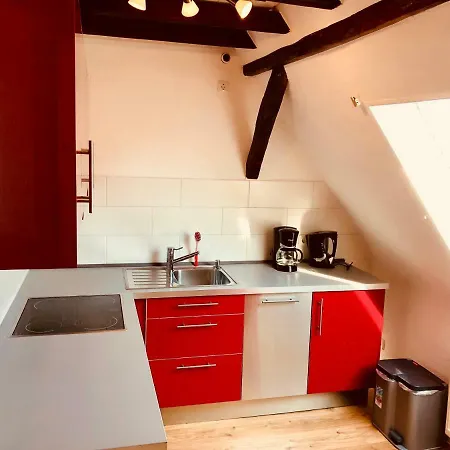 Haus Am Rhein Mit Self Check-in Und P *