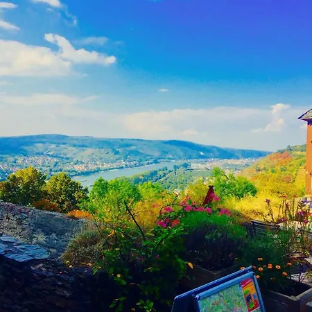 Haus Am Rhein Mit Self Check-in Und P * Κόμπλεντς