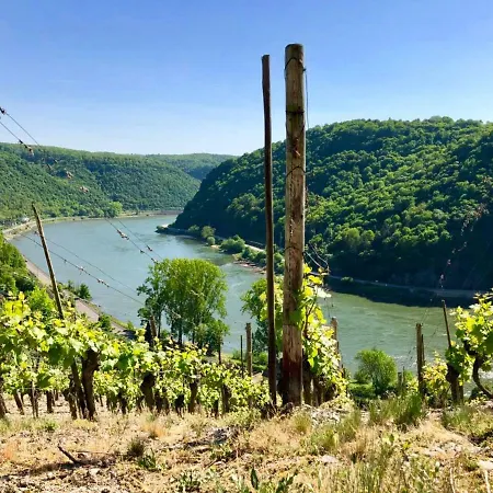 Haus Am Rhein Mit Self Check-in Und P קובלנץ