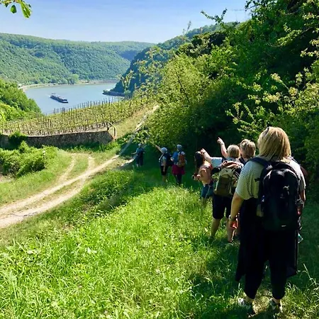 アパート Haus Am Rhein Mit Self Check-in Und P コブレンツ