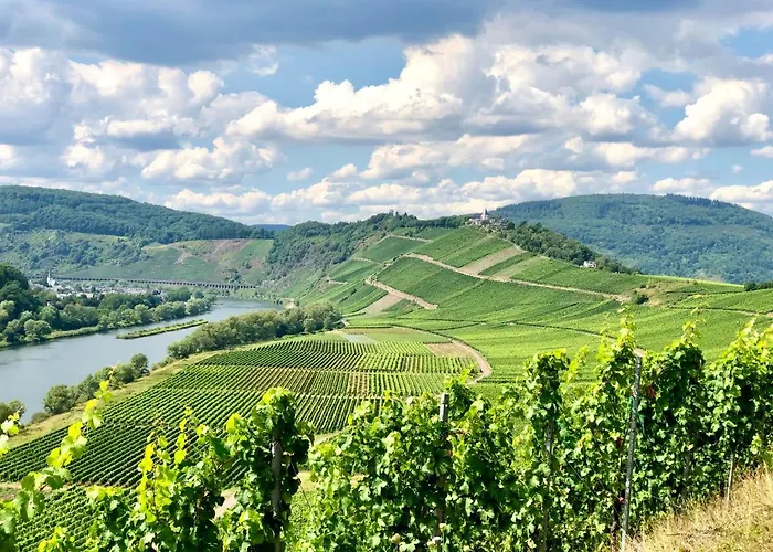 Haus Am Rhein Mit Self Check-in Und P *