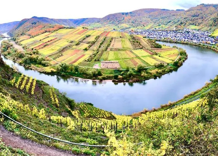 Haus Am Rhein Mit Self Check-in Und P *