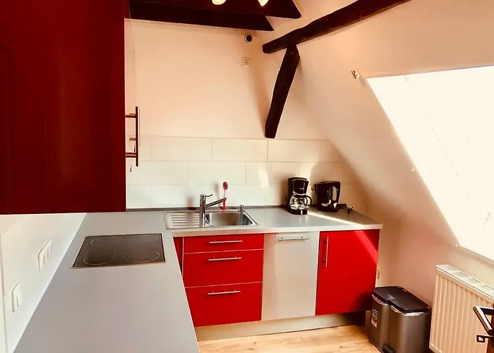 Haus Am Rhein Mit Self Check-in Und P *