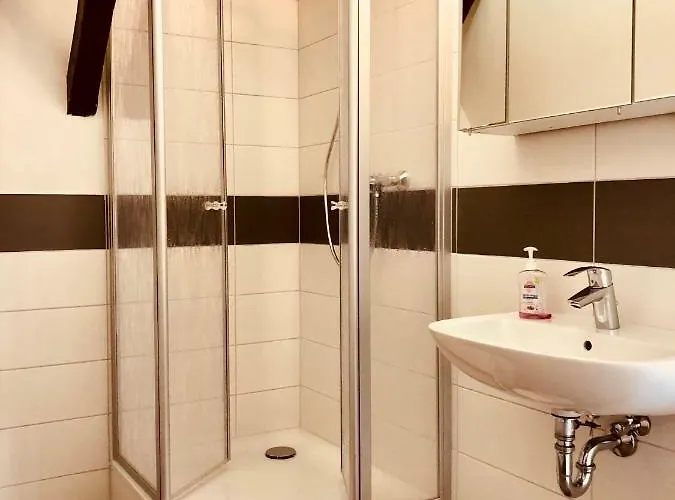 Haus Am Rhein Mit Self Check-in Und P Koblenz