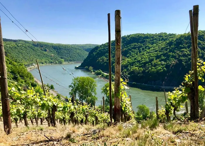 Haus Am Rhein Mit Self Check-in Und P Koblenz