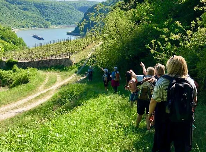 Apartman Haus Am Rhein Mit Self Check-in Und P Koblenz