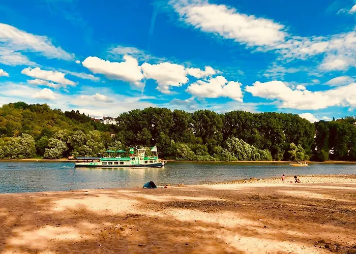 아파트 Haus Am Rhein Mit Self Check-in Und P